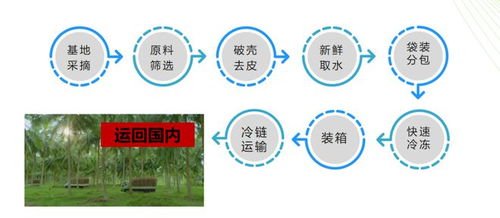 聚焦椰子水丨品类大热之下，爆品长什么样的品牌密码？
